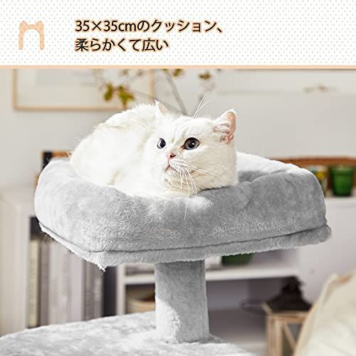 【M2090-64-36】キャットタワー ミニ子猫やシニア猫にお勧め 楽天市場】FEANDREA キャットタワー ミニ 子猫やシニア猫にお