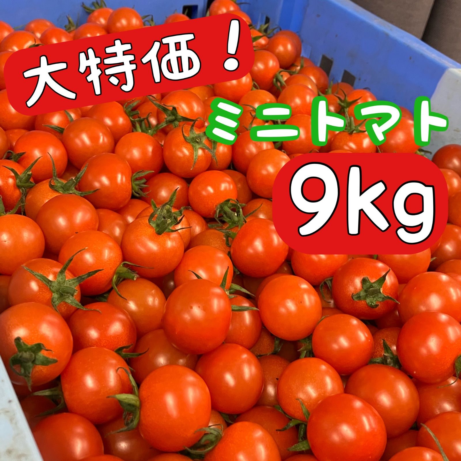 ミニトマト9kg - メルカリ