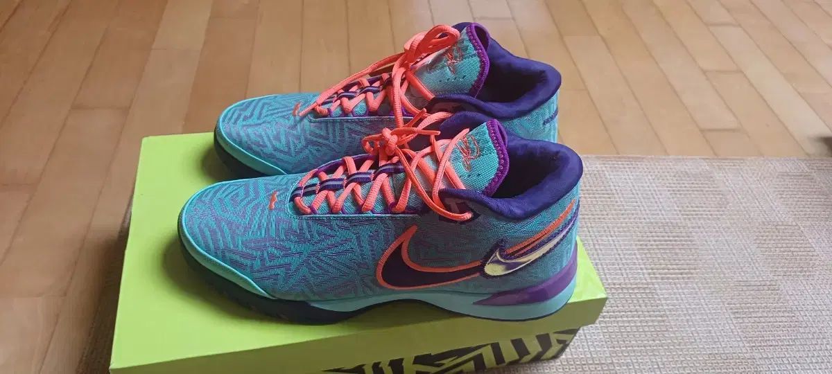 Nike レブロン　希少　バスケットボールシューズ レインボー NIKE ナイキ バスケットボールシューズ レブロン ウィットネス 8