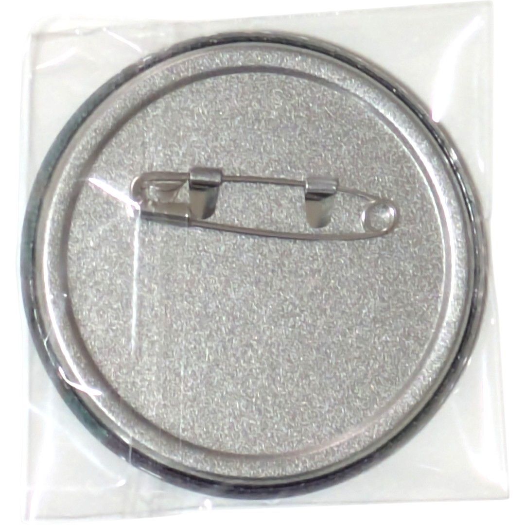 送料無料 24時間以内発送 未使用 10点セット 伏黒恵 缶バッジ 呪術廻戦