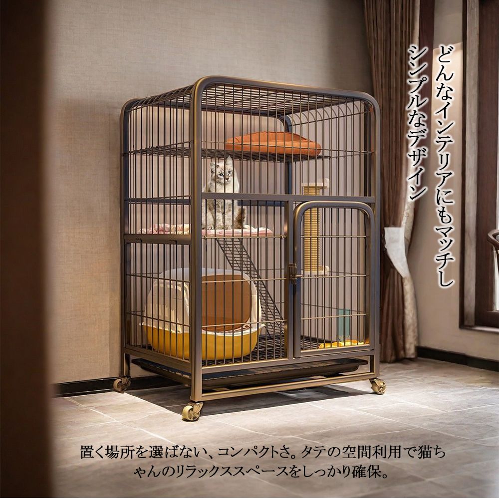 猫