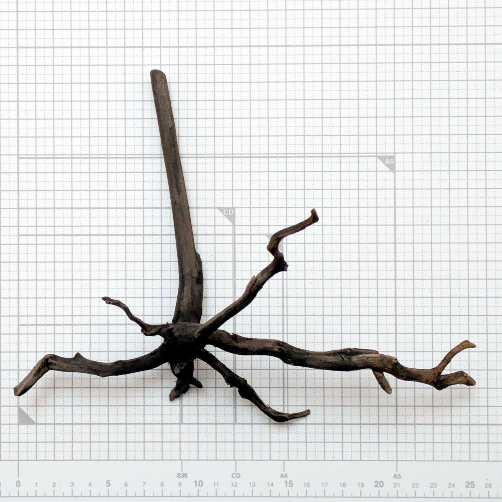 約25x20x13cm ブラックブランチウッドS 複数同時購入で2品目以降50