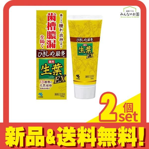 生葉(しょうよう)EX 100g 2個セット まとめ売り