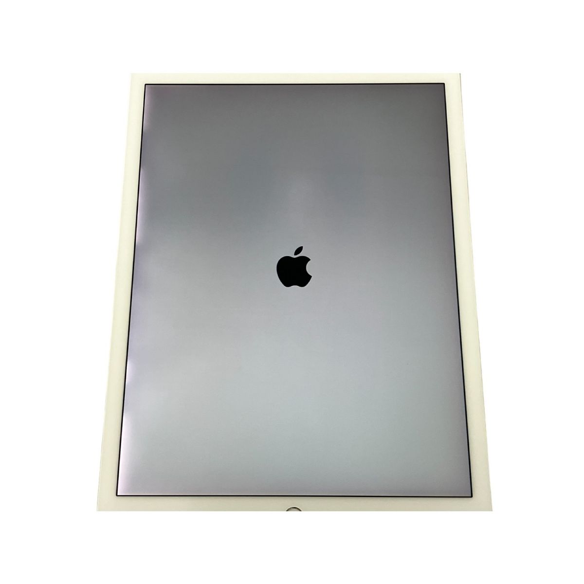 Apple iPad Pro 256GB 12.9インチ 第2世代 MP6H2J/A Wi-Fiモデル