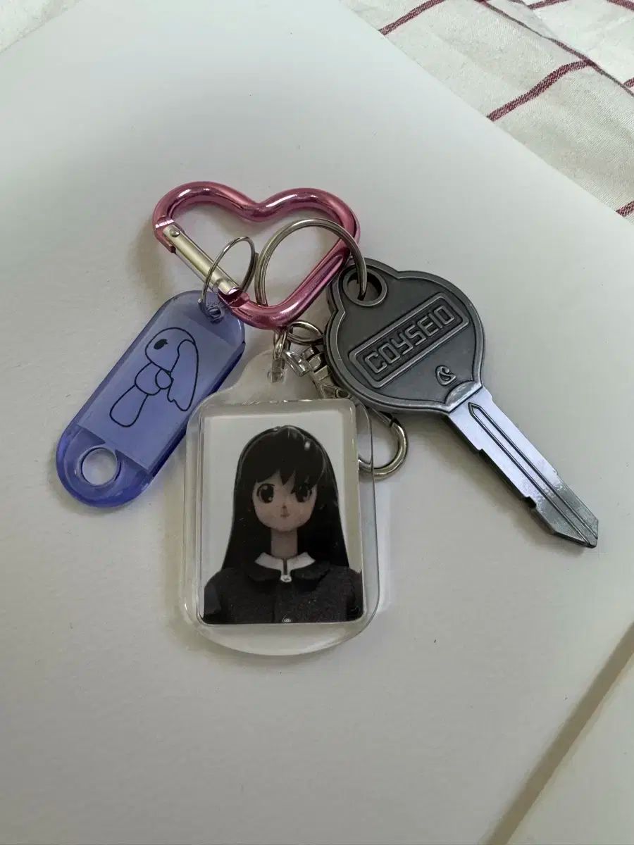 こいせいお 家 キーリング