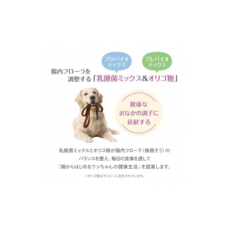 森乳サンワールド