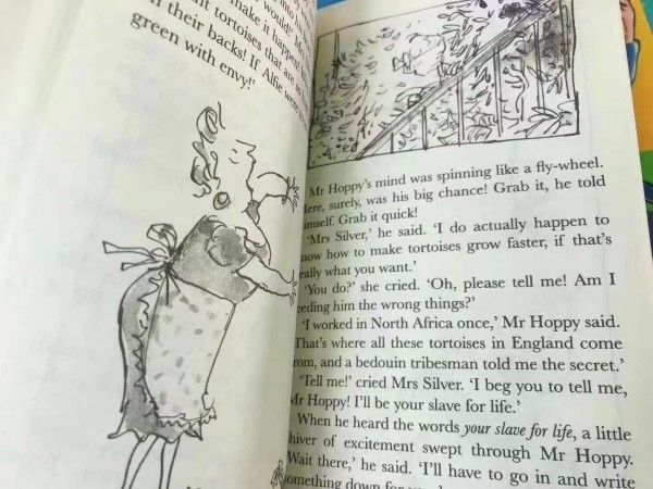 新品未開封】Roald DAHL collection 20冊 洋書 英語 - メルカリ