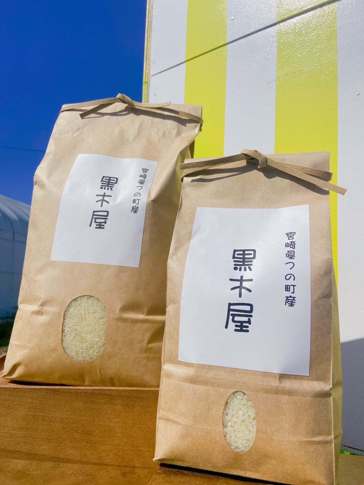宮崎県産コシヒカリ5kg   美味しいお米　無洗米-0