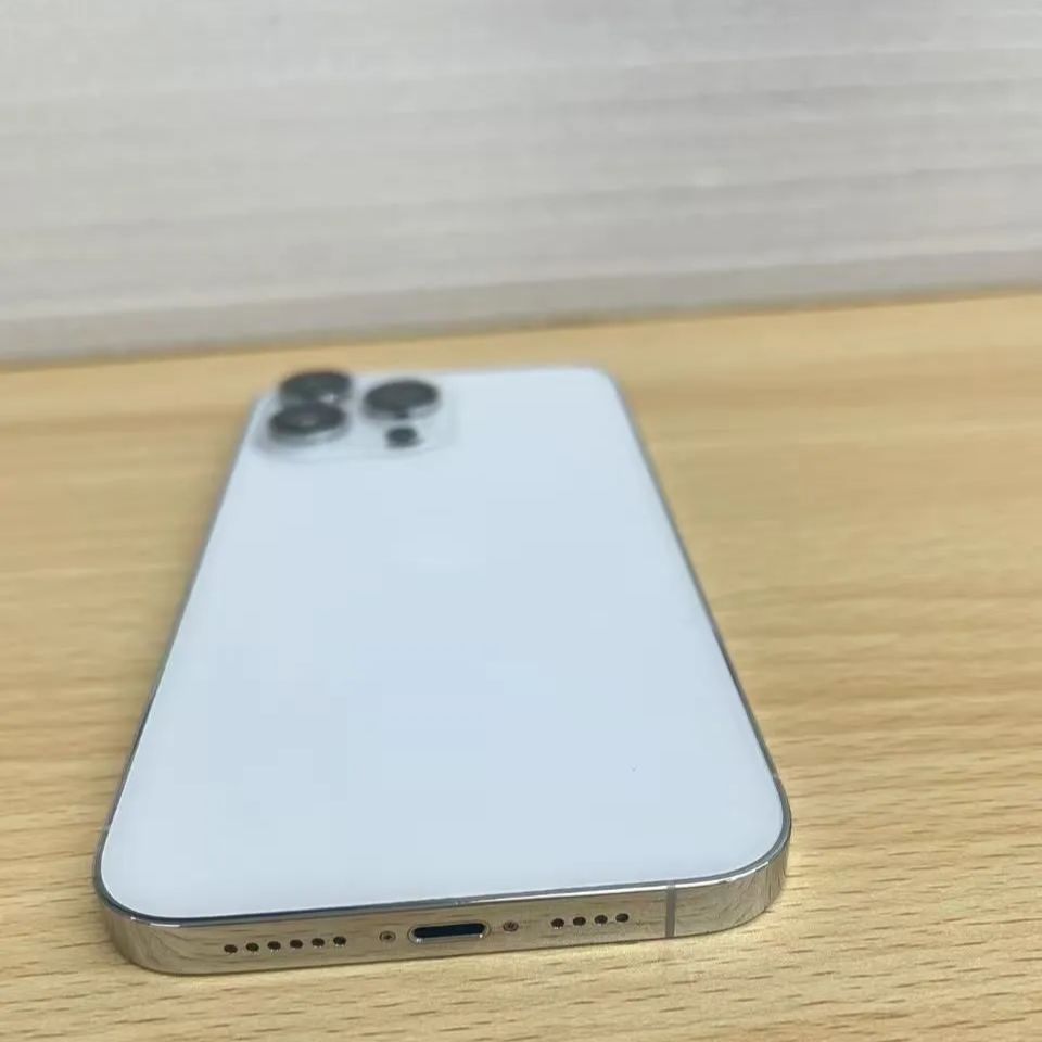 本体