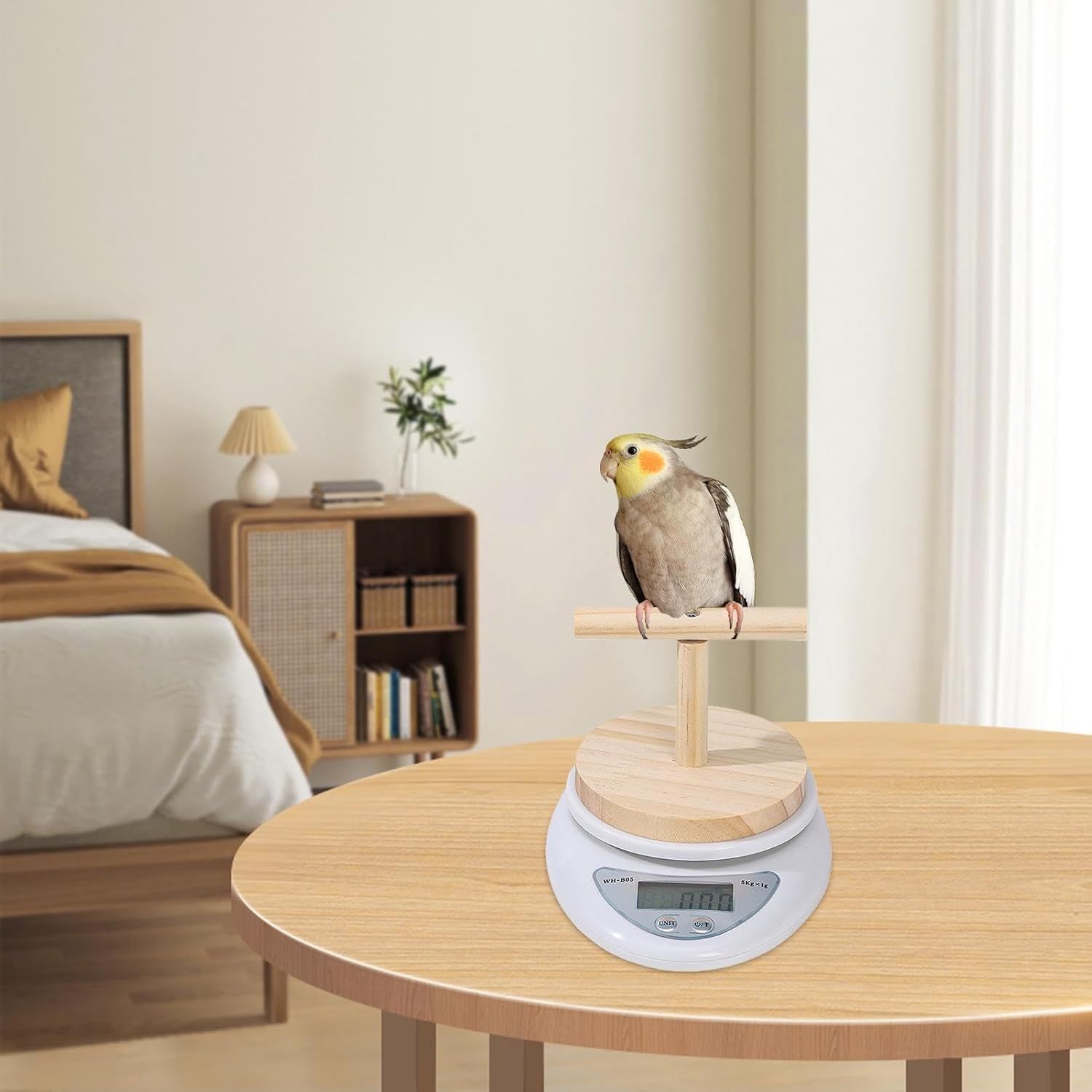 鳥止まり木&体重測定計セット(タイハクオウム用) Amazon.co.jp: 【0.1g-5000g】インコ 小鳥の体重計 スケール+