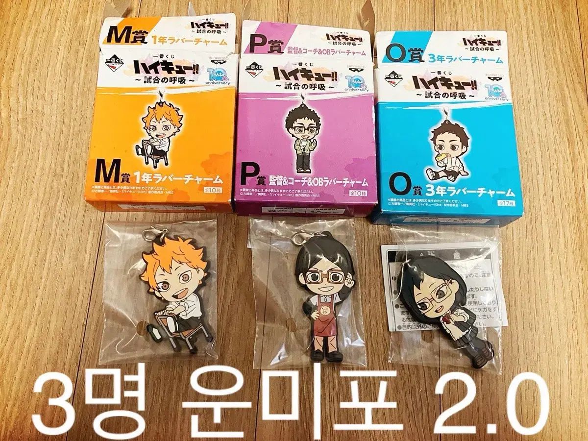 ハイキュー！！ ヒナタ+シマダ マコト+シミズ キヨコ