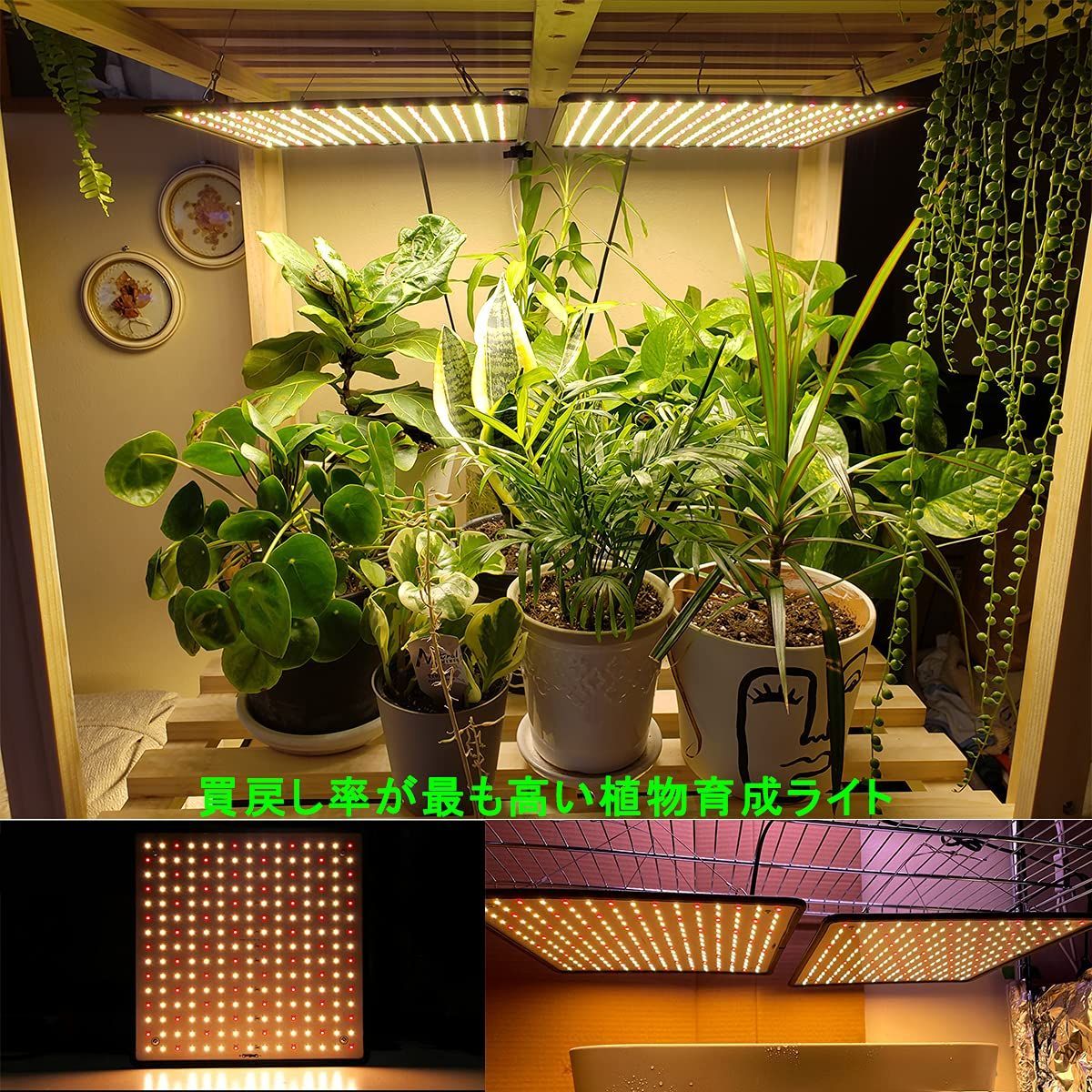 植物用ledライト