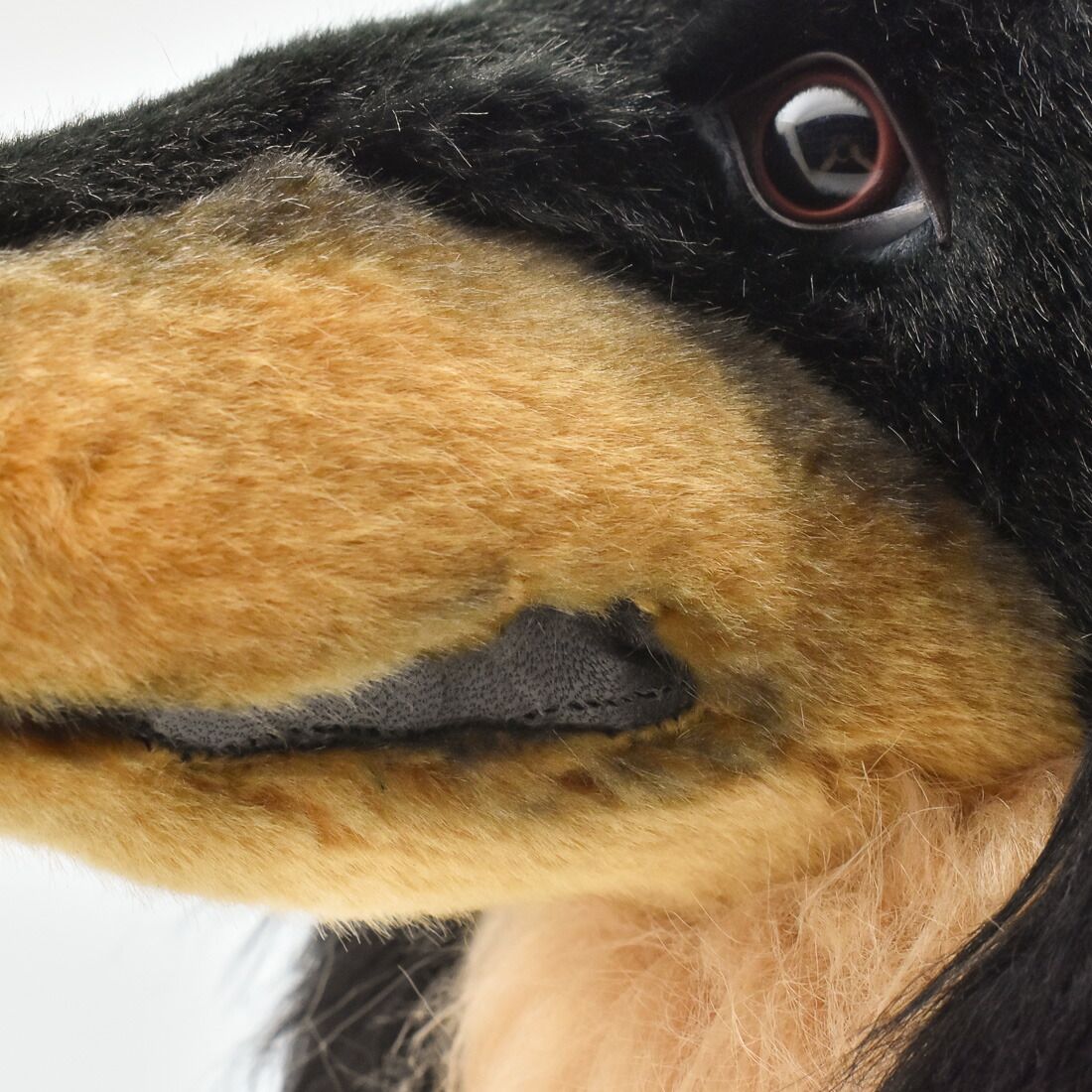 HANSA8511 ミニチュアダックスフンド ロングヘア 59cm DACHSHUND