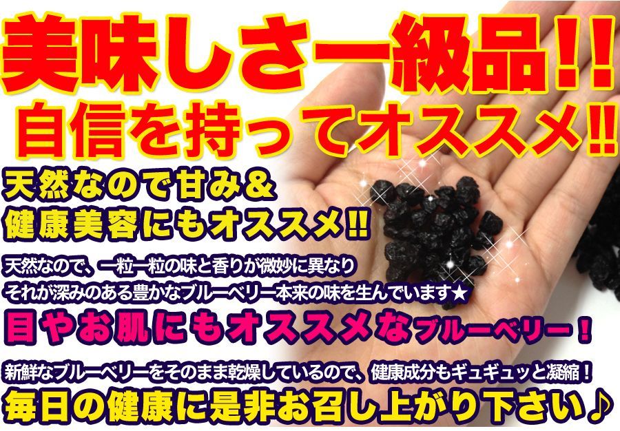 野生種★ワイルドブルーベリー大容量１ｋｇ≪常温≫SM00010048