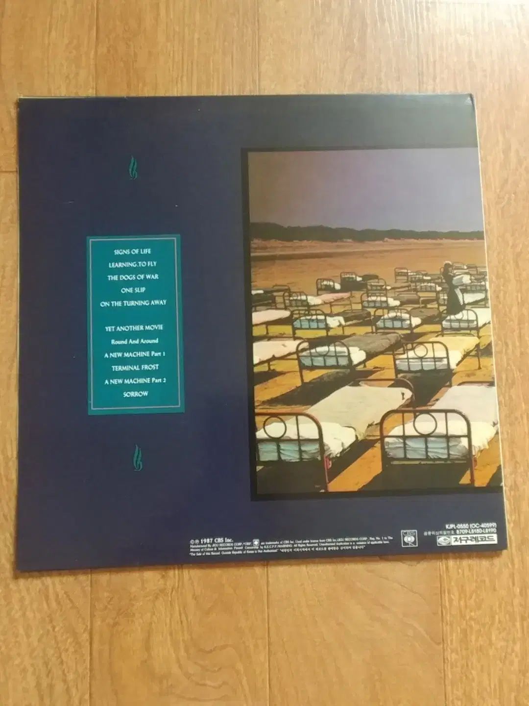 LPレコード プロ・ユース・シリーズ ピンク・フロイド 狂気 帯付き