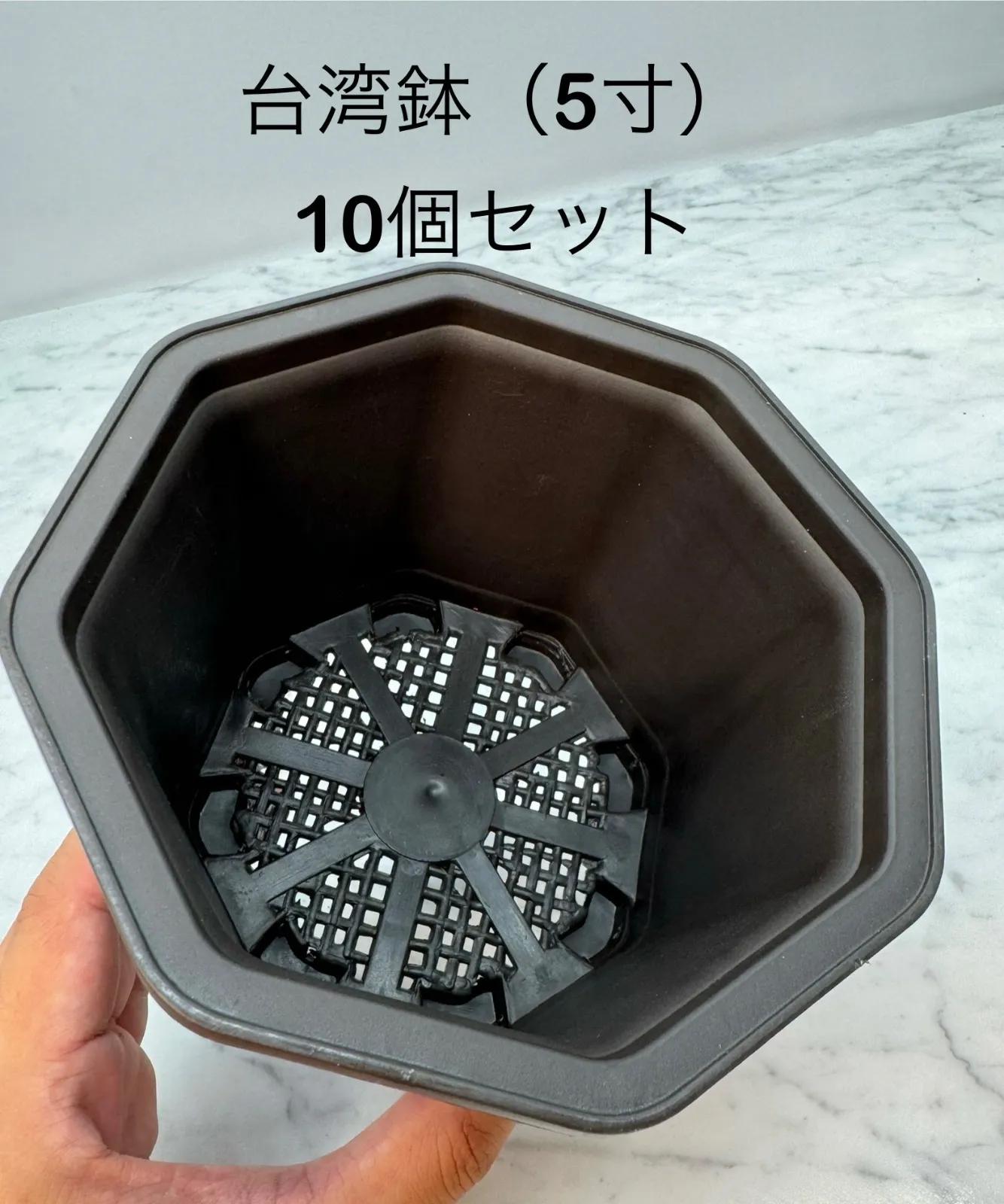 2026年最新】台湾鉢 5寸の人気アイテム - メルカリ