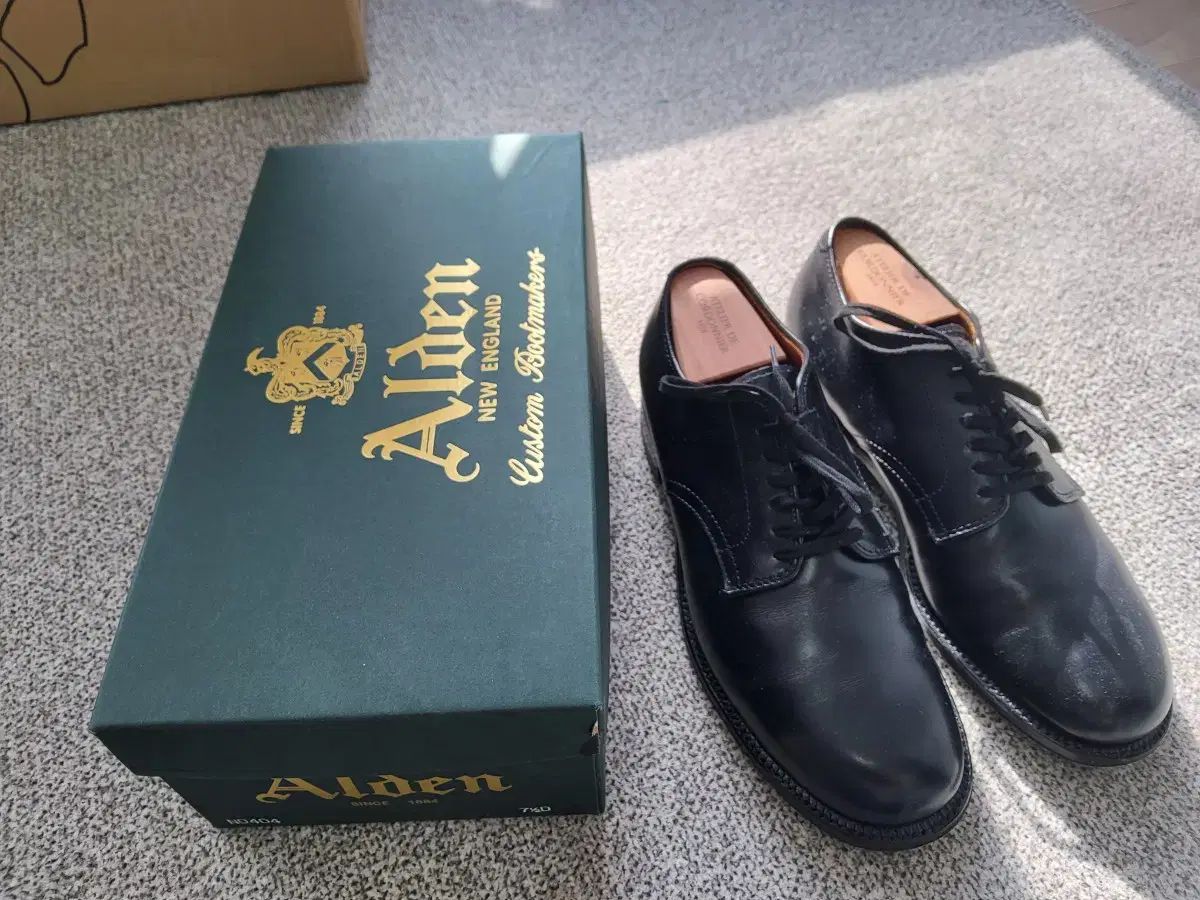 ALDEN オールデン 0404 ミリタリーラスト 7 5D