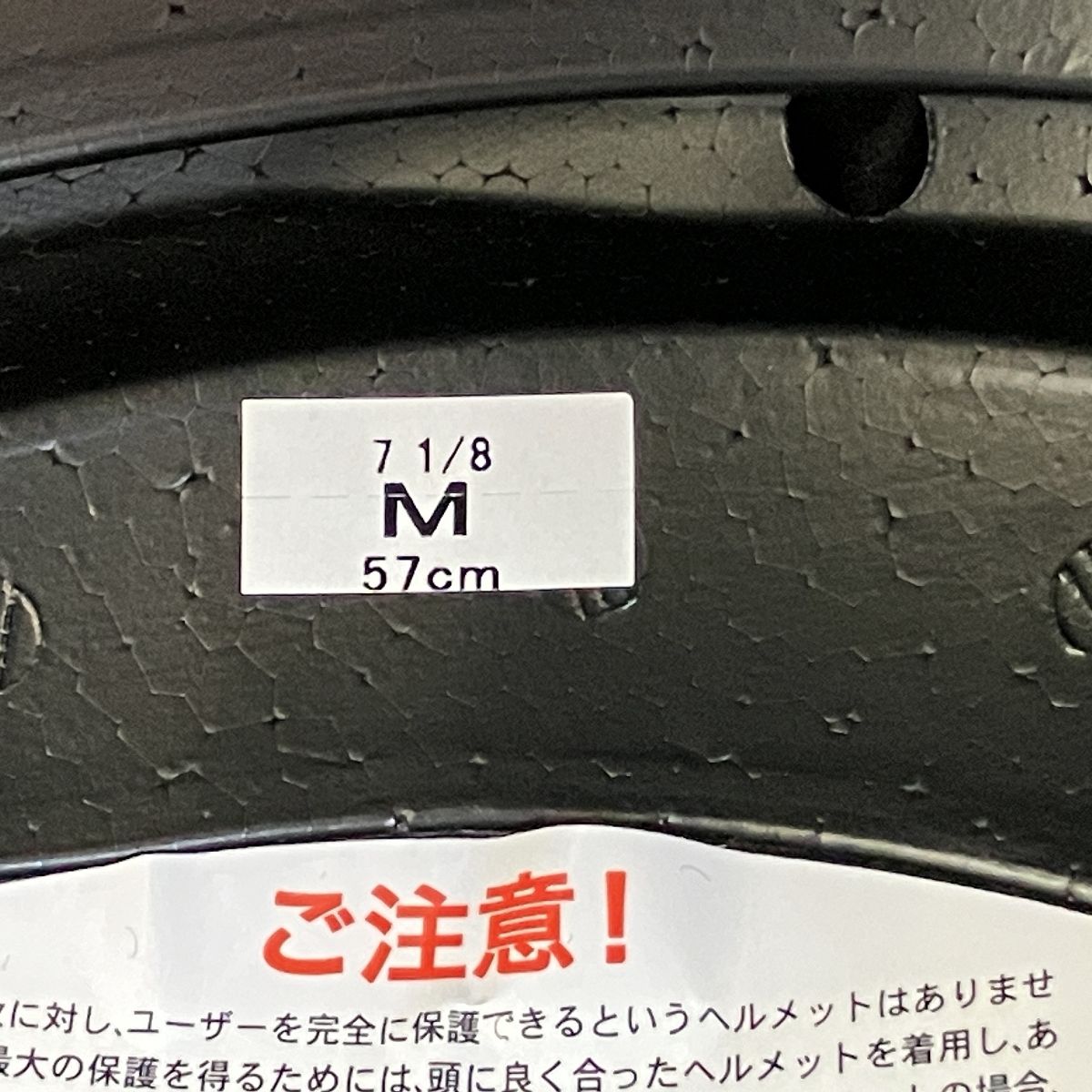 ショウエイ グラムスター