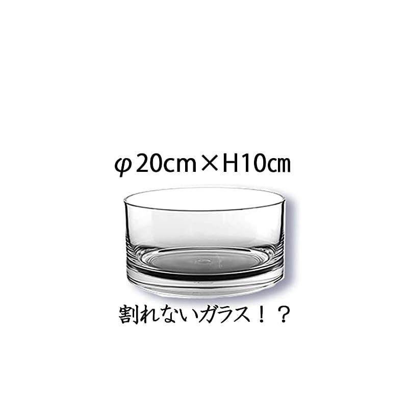 FOYER 割れない 花瓶 フラワーベース ポリカーボネート おしゃれ 高さ 10 cm 幅 20 cm 小さい 1