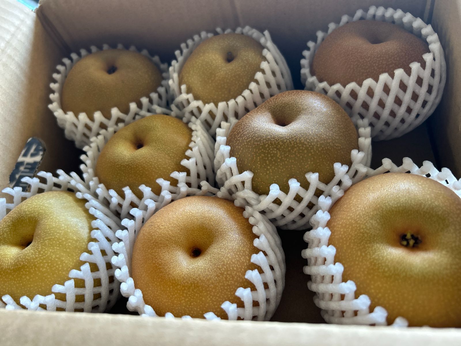 ダヤン　2箱　にっこり梨 梨梨 様 専用 ダヤン様専用 2箱 にっこり梨 梨様専用品