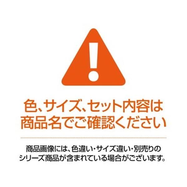 まとめ）ライオン事務器 フラットファイル（環境）樹脂押え具 B5タテ