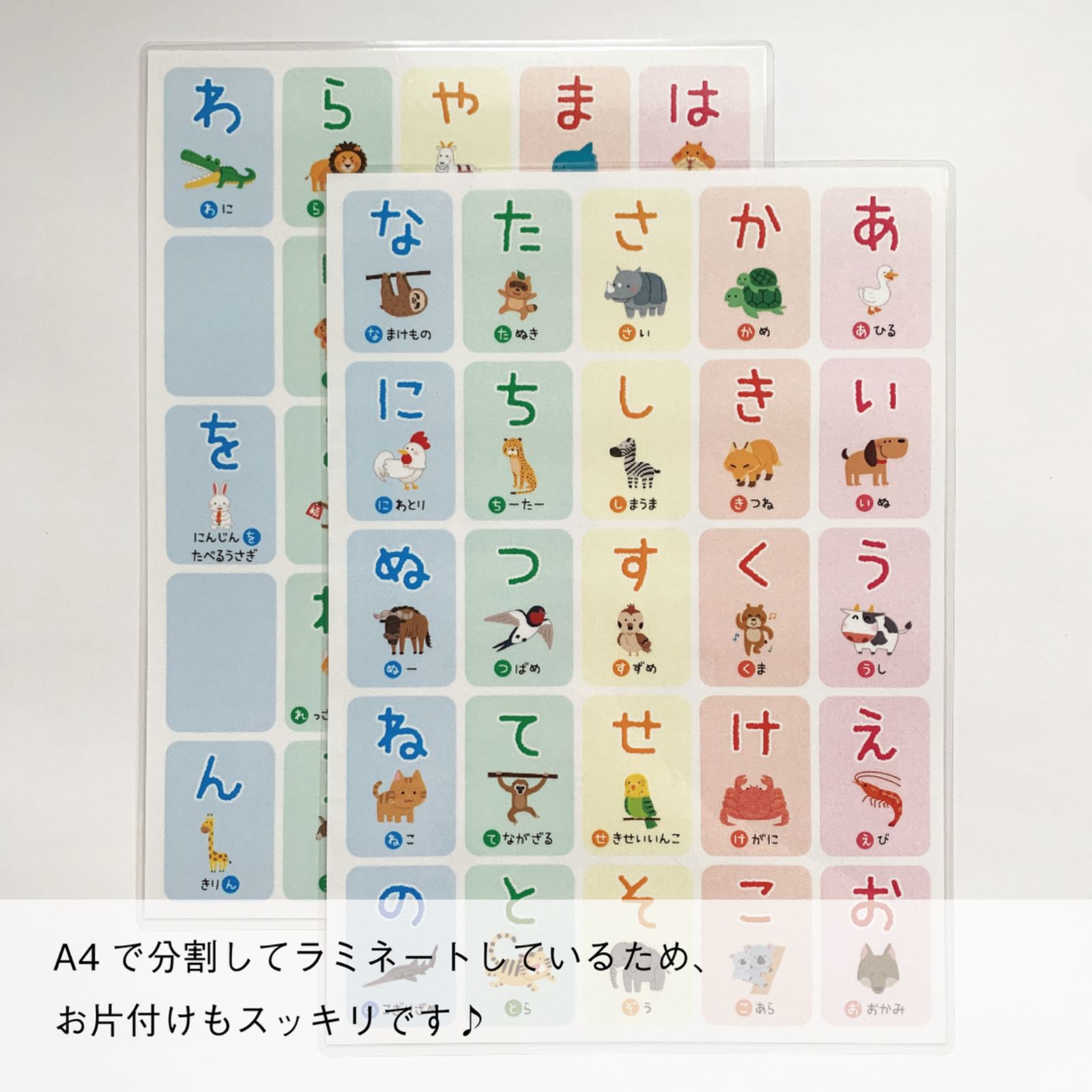 A3】2種用☆あいうえお表᯽ひらがな᯽カタカナ᯽アルファベット