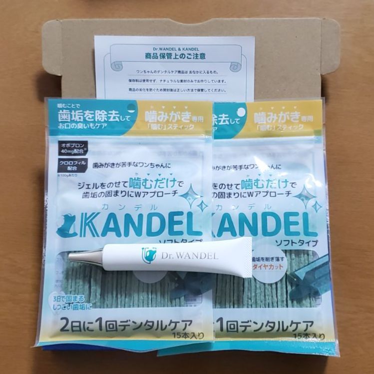 Dr.WANDEL KANDEL CICA デンタルケアセット 楽天市場】ドクター