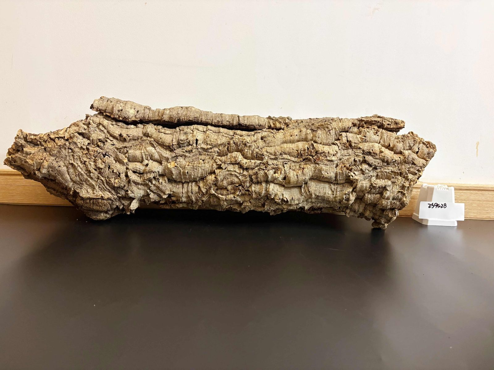 バージンコルク 送料無料