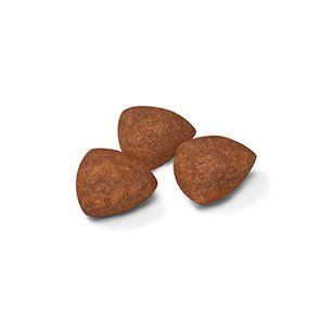 ロイヤルカナン SHNミニ インドア パピー(室内で生活する小型犬専用フード 子犬) 4kg