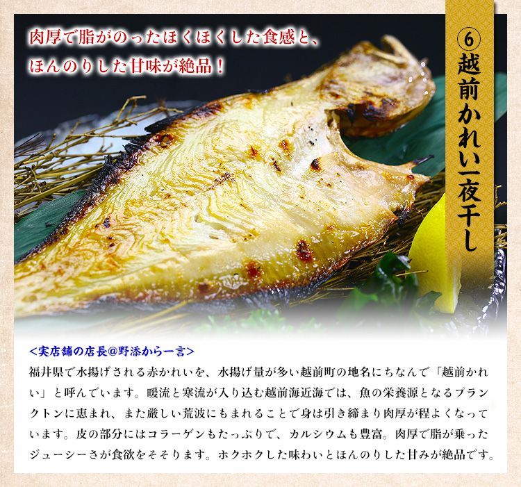 一夜干し ギフト