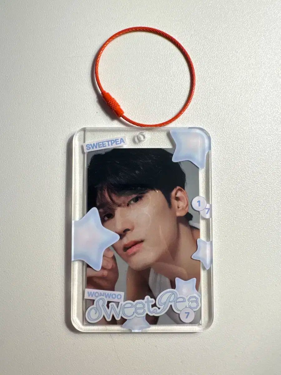 ウォヌ(WONWOO) トレカホルダー トレカケース マスター トレカ