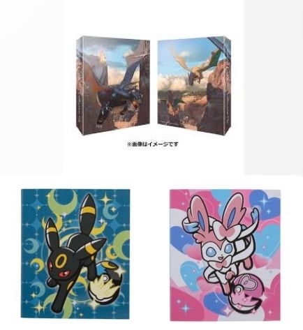 リザードン ブラッキー ニンフィア コレクション ファイル 3つセット