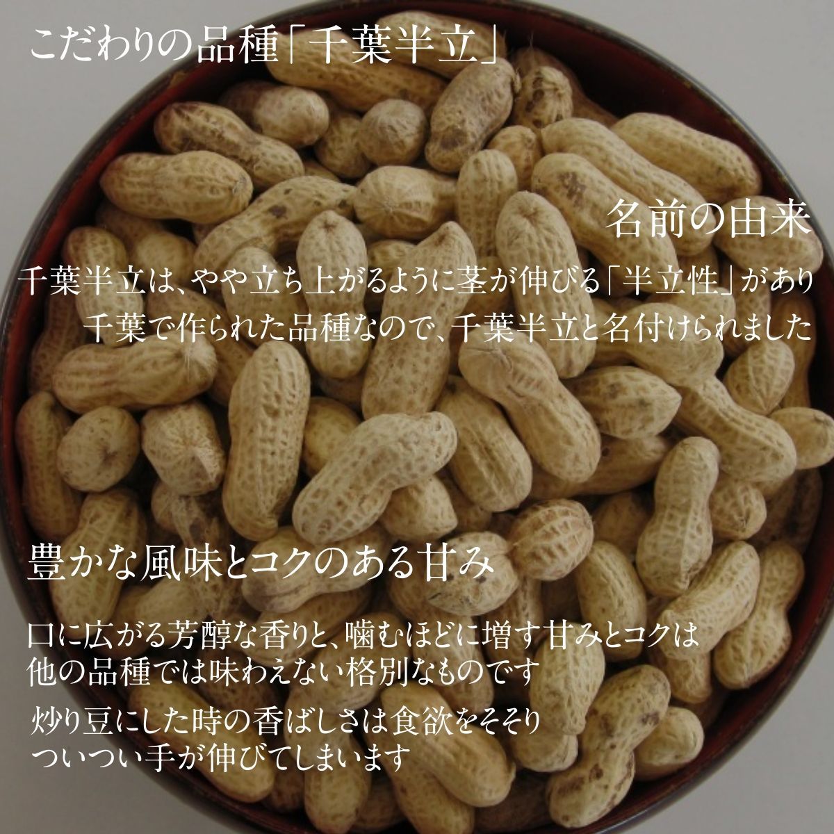 落花生