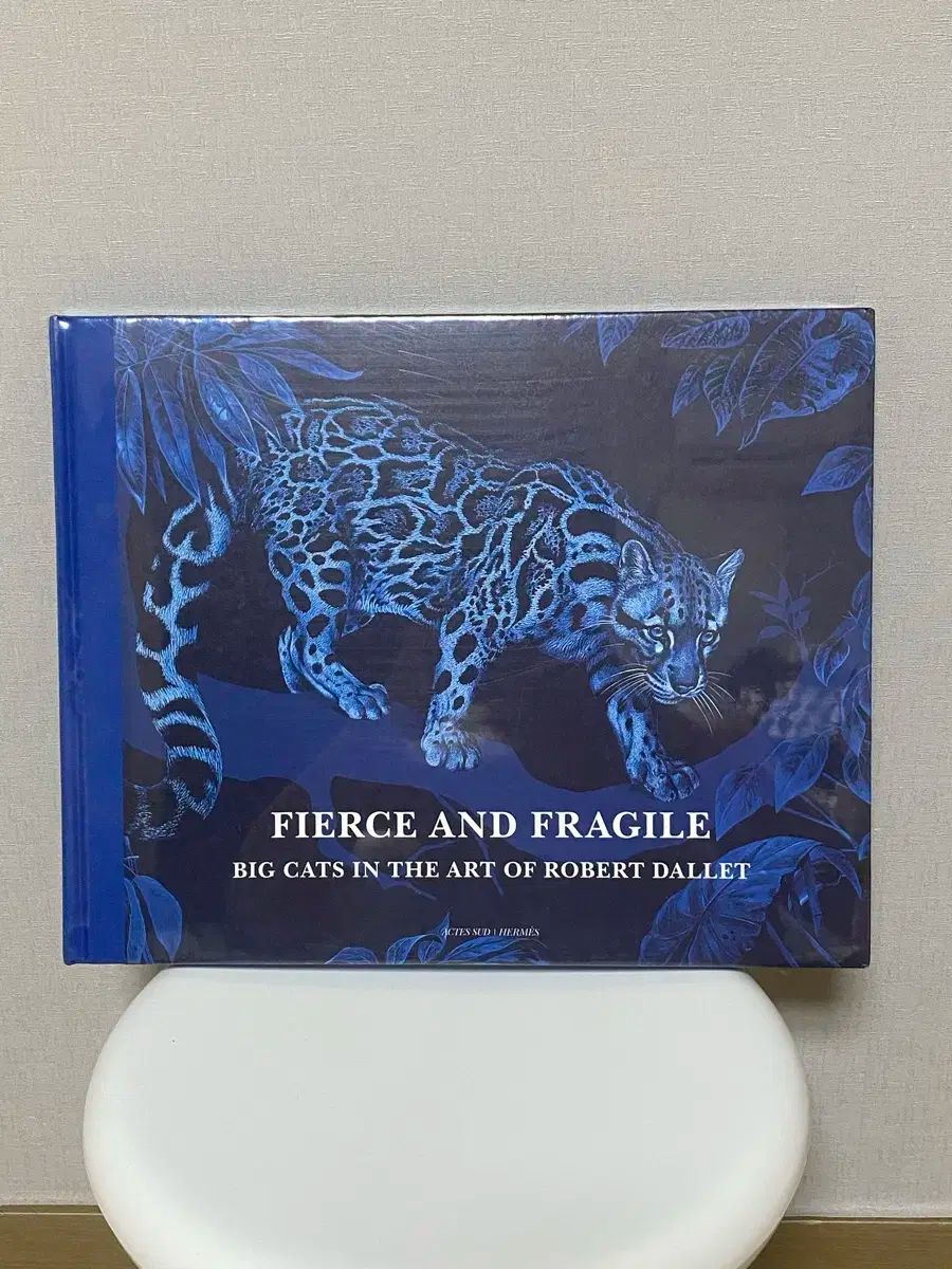 ロバート　ダレ　画集　洋書　エルメス Fierce ＆ Fragile エルメス アートブック ロバート とは違い