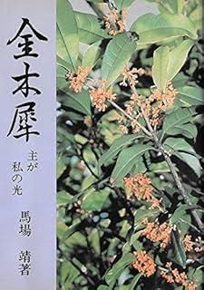金木犀 ― 主が私の光