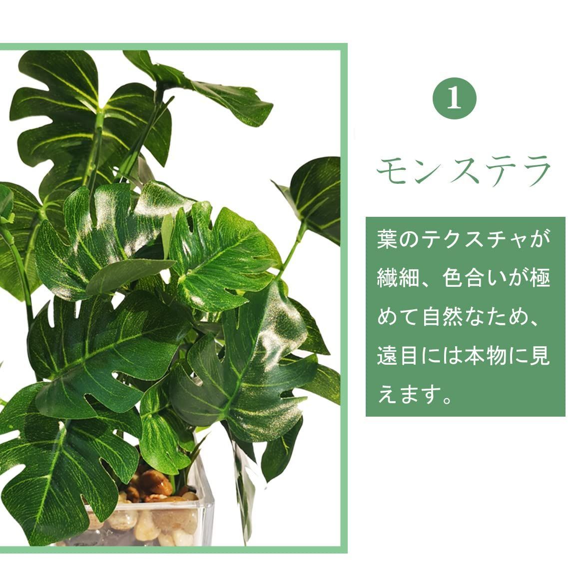 光触媒