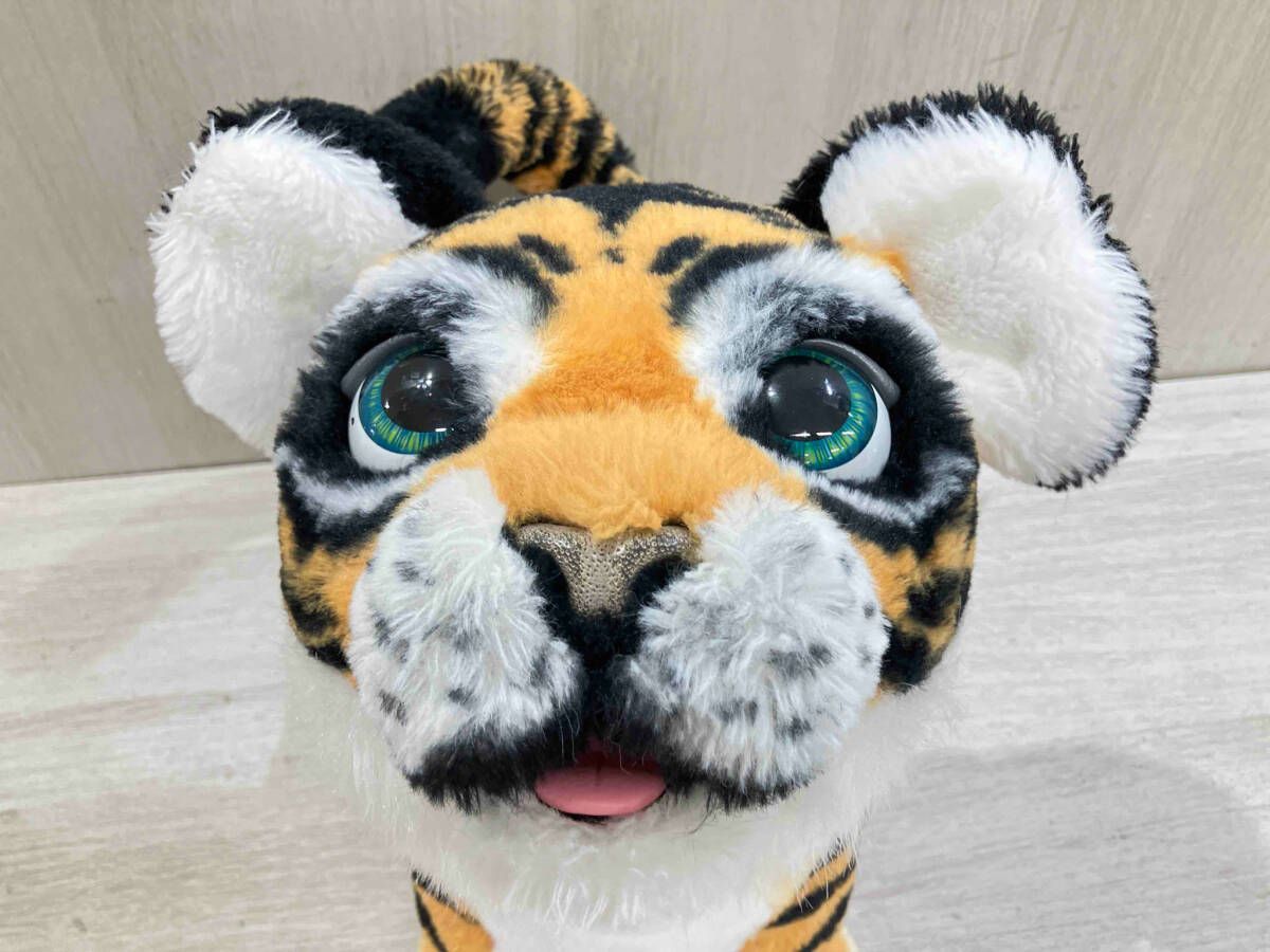 バズプロジャパン ファーリアルロアーリング・タイラー