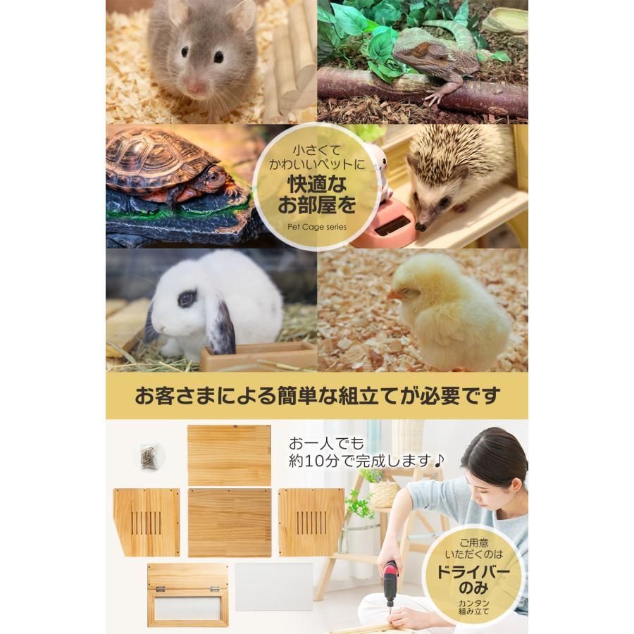 ヘビ カメレオン