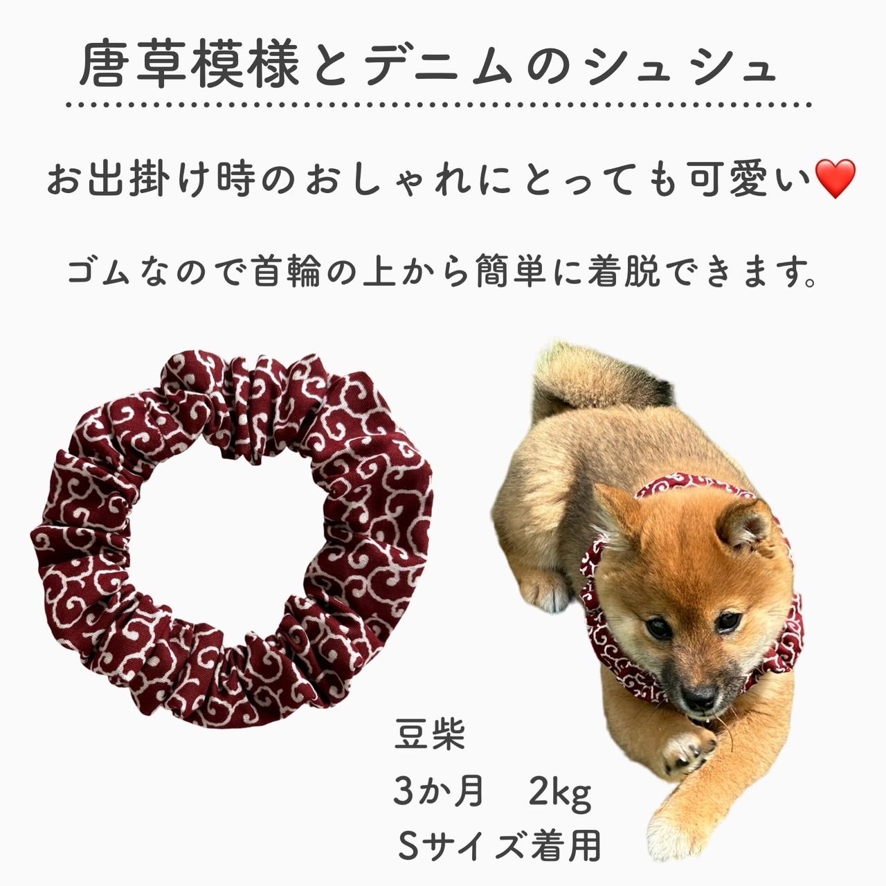 犬首輪 唐草模様 シンプル シュシュS M 犬用 猫用 首輪 和柄 唐草模様