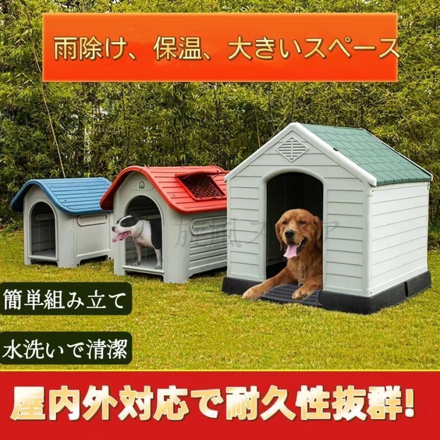 犬