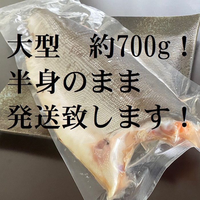 訳あり】紅鮭使用甘塩半身 1枚（約700ｇ）×1パック 真空冷凍 ロシア産 紅サケ さけ 鮭 べにさけ ベニサケ シャケ アキアジ 焼き魚 朝食 肴  お中元 お歳暮 母の日 父の日 - メルカリ