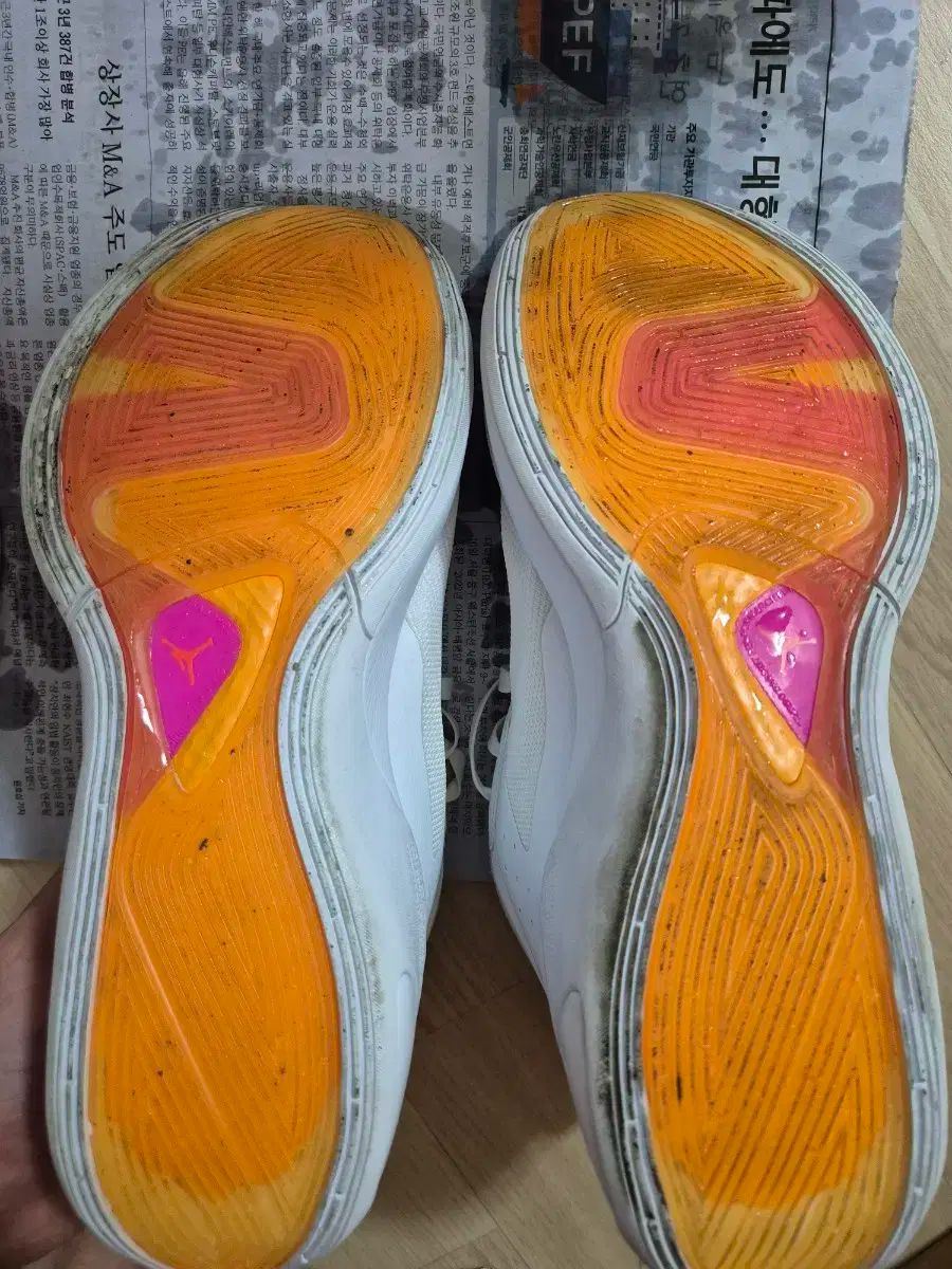 ルカ 1 動的 ターコイズ 280 mm