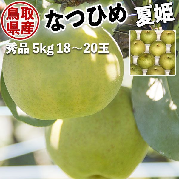 鳥取 梨 夏姫 なつひめ梨 鳥取県産 秀品 5kg 18～20玉 ご贈答用 なし ナシ 梨 夏ギフト・遅めのお中元【8月中旬ごろ前後から出荷】  メルカリ