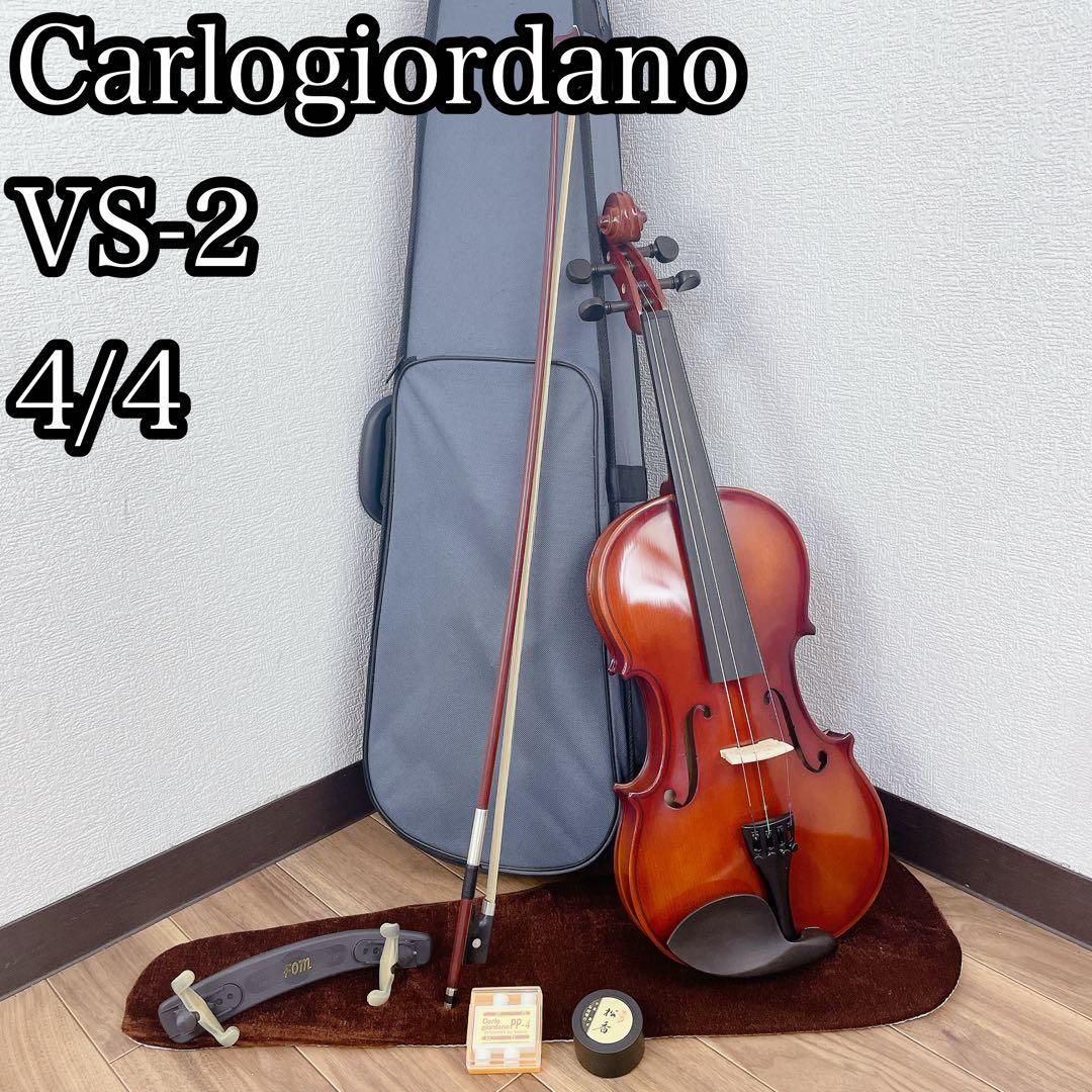 Carlogiordano vs-2 4|4 バイオリン