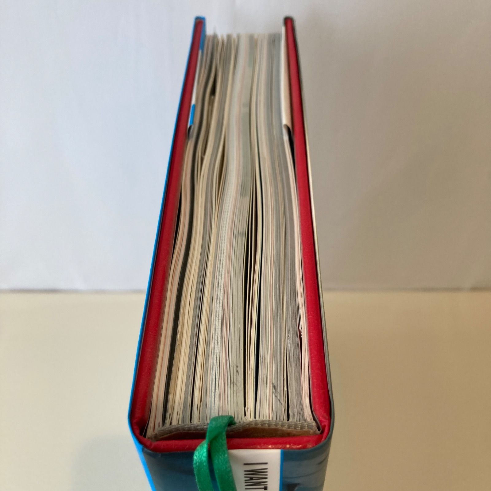 Damienhirst ダミアン・ハースト作品集 付属品ややあり 洋書