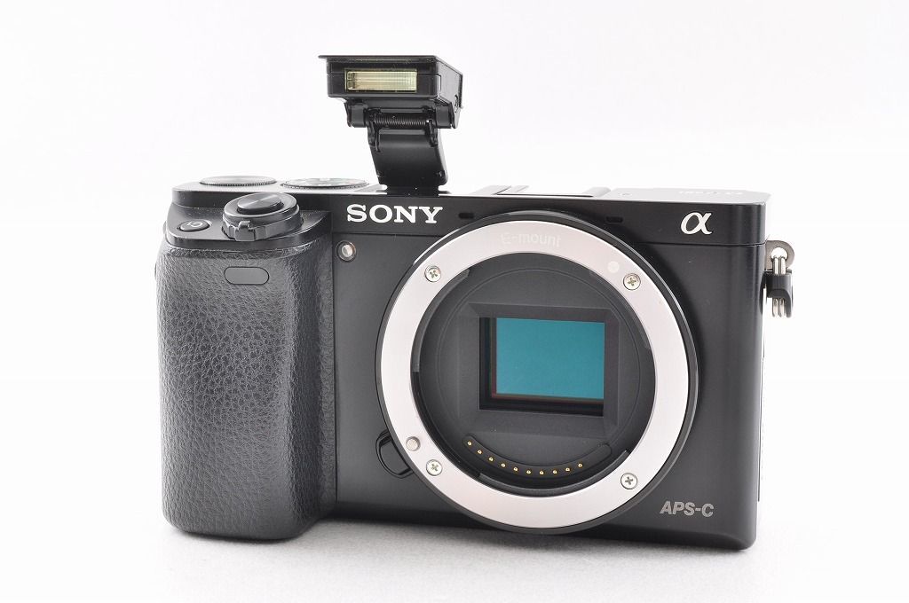 SONY α6000 ミラーレス一眼カメラ　シャッター数約１０００回 SONY α6000 ミラーレス一眼カメラ シャッター数約1000回 SONY