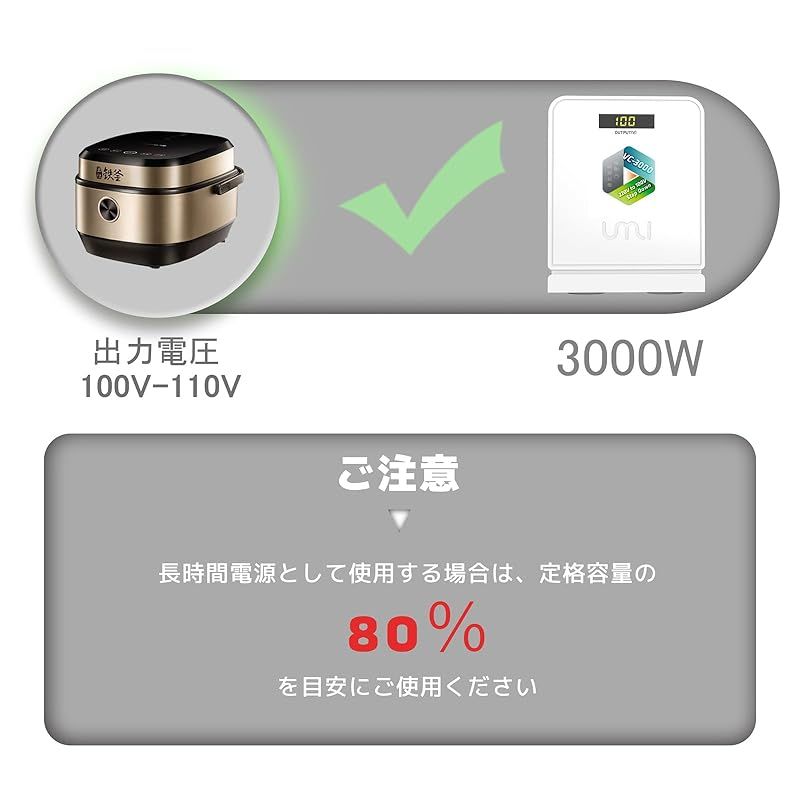 to 100V|110V