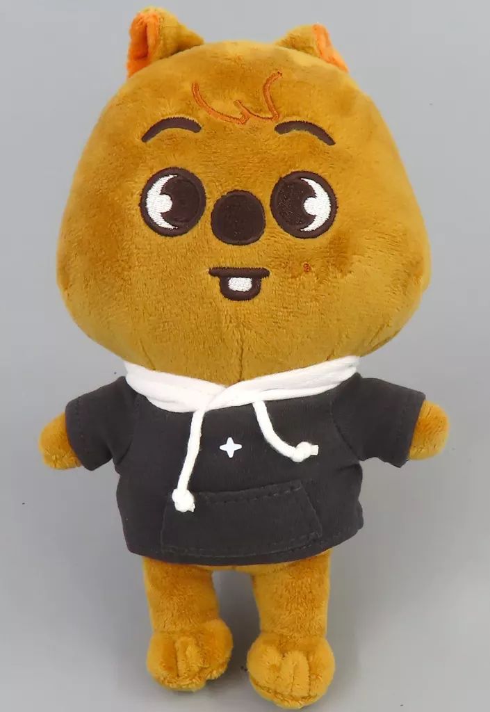テディベア ぬいぐるみ teddybear SKZOO ハン ハンクォッカ Stray Kids