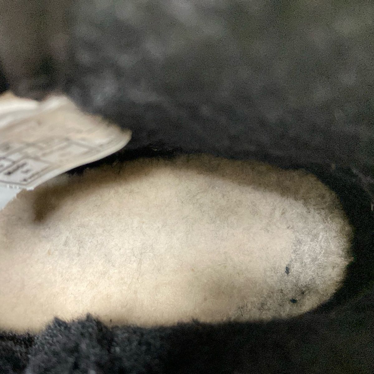 ショートブーツ 23.5