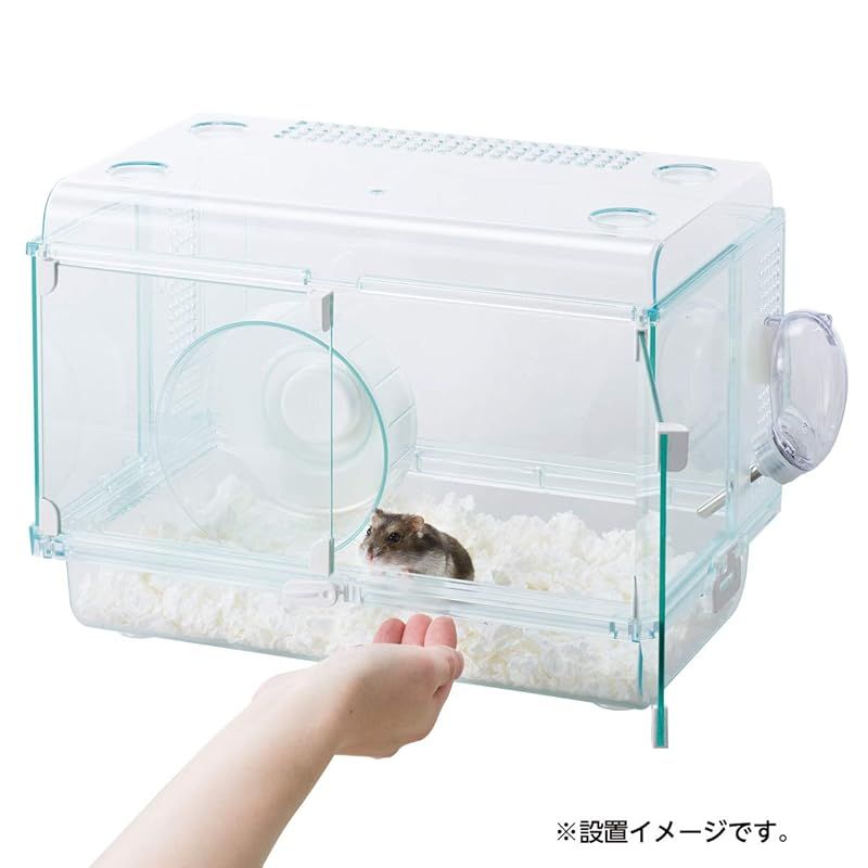 ホワイト